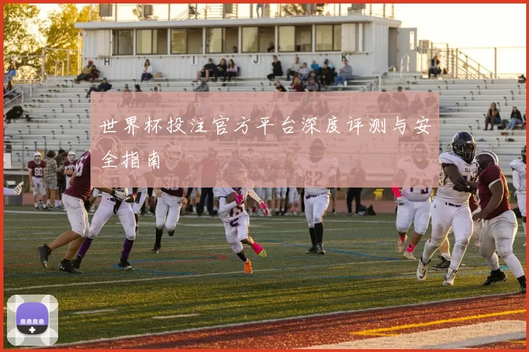 世界杯投注官方平台深度评测与安全指南