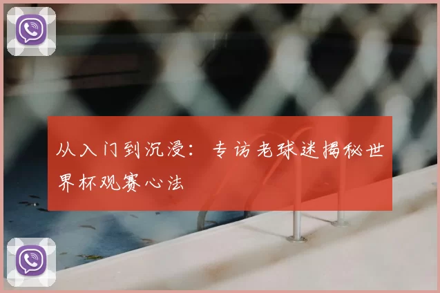 从入门到沉浸:专访老球迷揭秘世界杯观赛心法