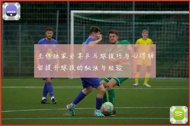 王伟独家分享乒乓球技巧与心得助你提升球技的秘诀与经验