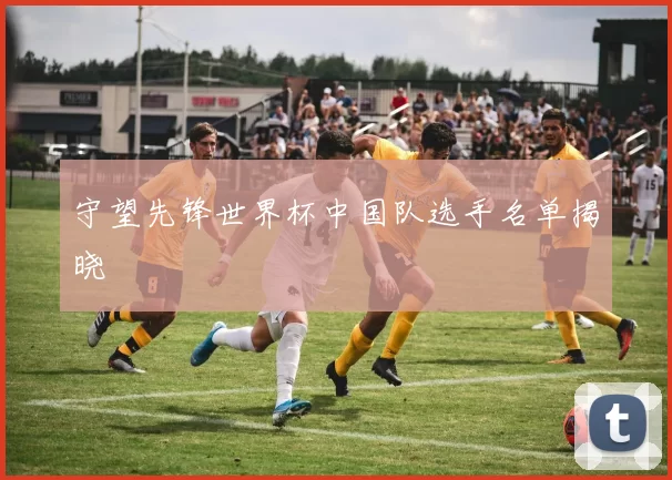 守望先锋世界杯中国队选手名单揭晓