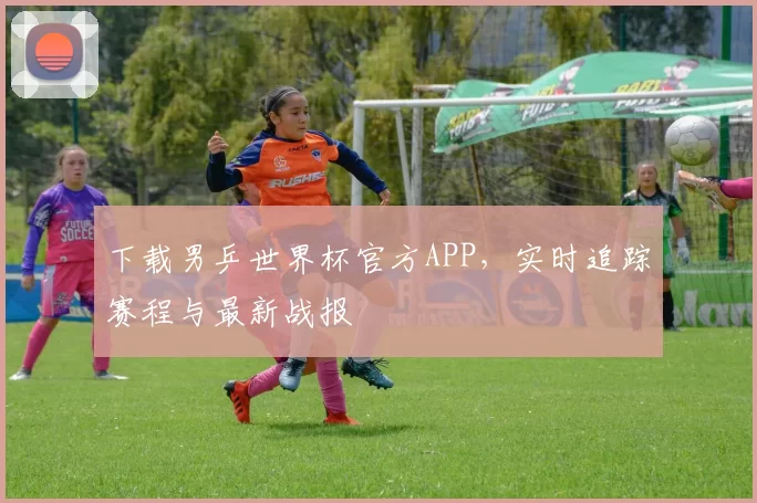 下载男乒世界杯官方APP，实时追踪赛程与最新战报