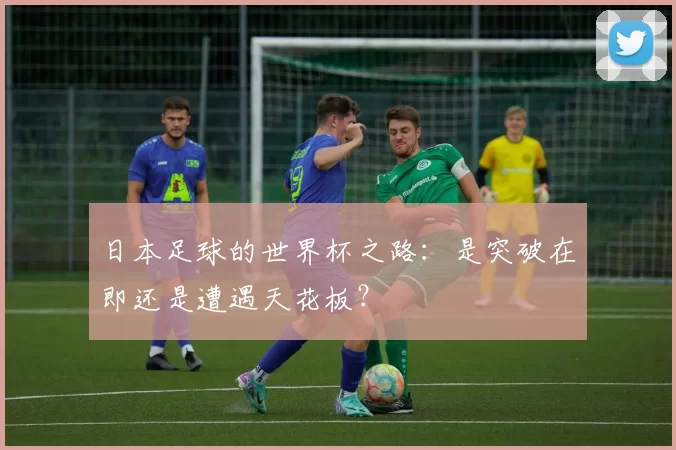 日本足球的世界杯之路:是突破在即还是遭遇天花板?