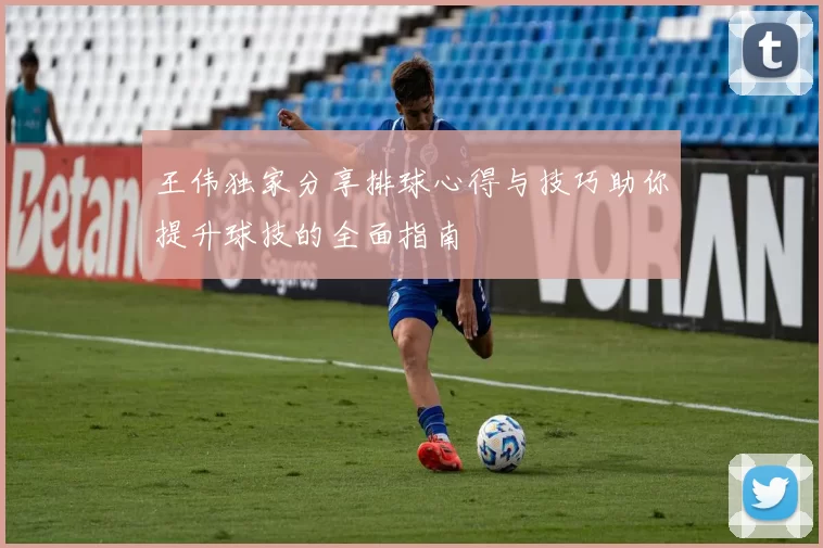 王伟独家分享排球心得与技巧助你提升球技的全面指南