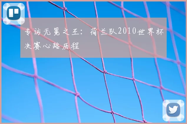 专访无冕之王:荷兰队2010世界杯决赛心路历程