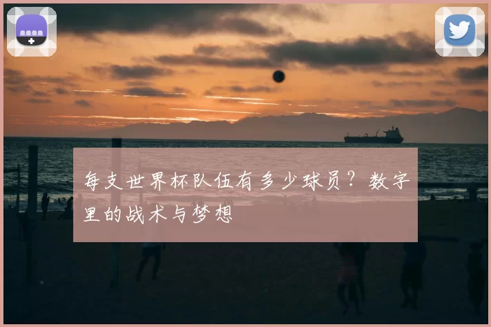 每支世界杯队伍有多少球员?数字里的战术与梦想