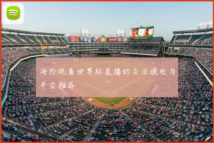 海外观看世界杯直播的合法途径与平台推荐