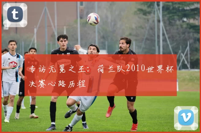 专访无冕之王:荷兰队2010世界杯决赛心路历程