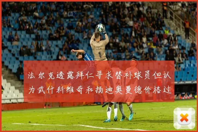 法尔克透露拜仁寻求替补球员但认为武什科维奇和扬迪奥曼德价格过高