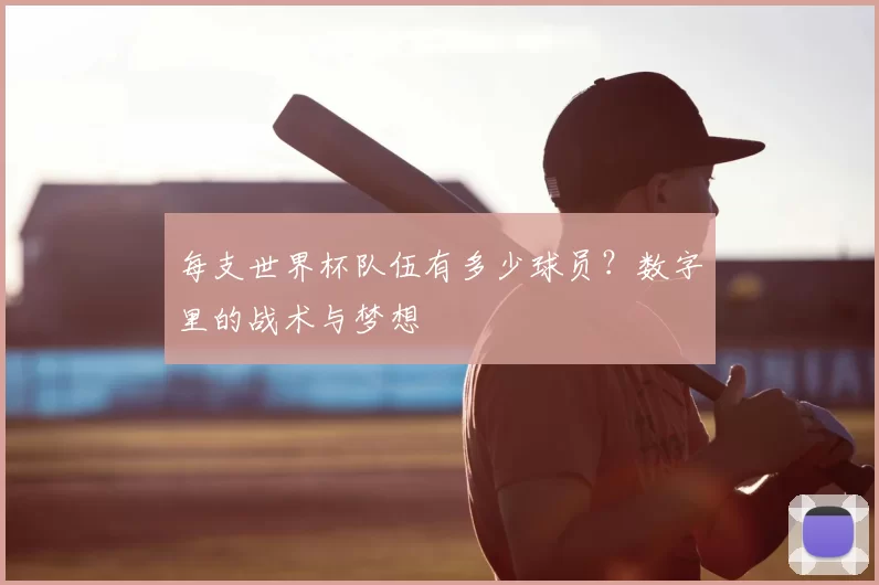 每支世界杯队伍有多少球员?数字里的战术与梦想