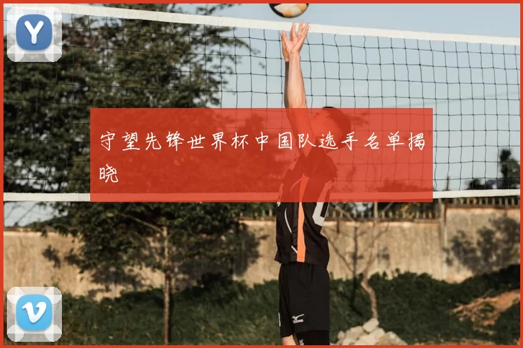 守望先锋世界杯中国队选手名单揭晓
