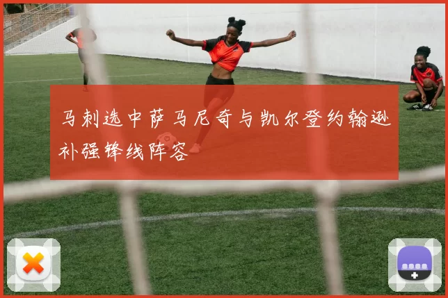 马刺选中萨马尼奇与凯尔登约翰逊补强锋线阵容