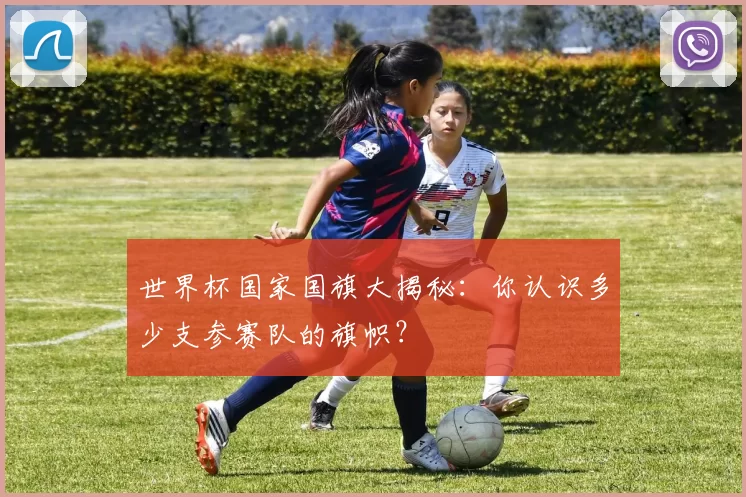 世界杯国家国旗大揭秘:你认识多少支参赛队的旗帜?