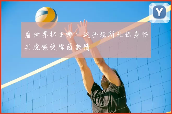 看世界杯去哪?这些场所让你身临其境感受绿茵激情