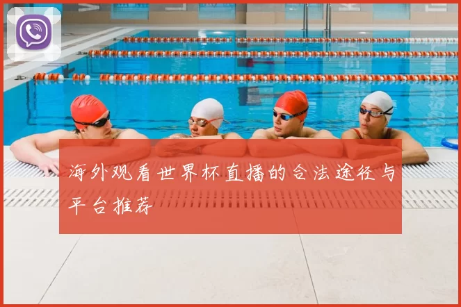 海外观看世界杯直播的合法途径与平台推荐